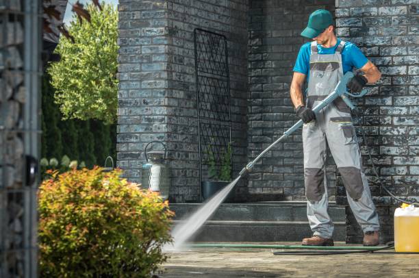 Best Gutter Cleaning  in Virginia Beach, VA