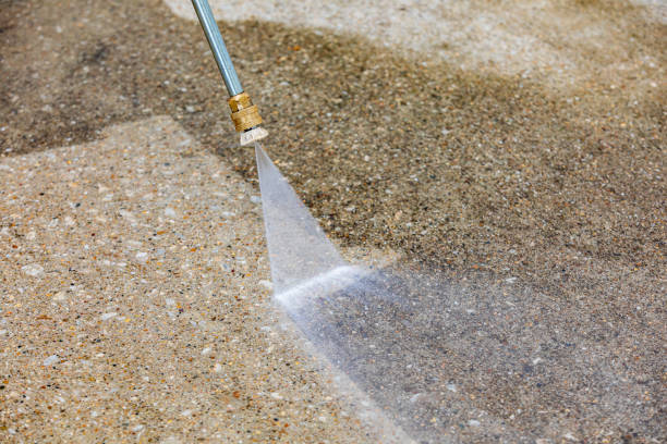 Best Driveway Pressure Washing  in Virginia Beach, VA